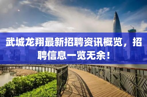 武城龙翔最新招聘资讯概览，招聘信息一览无余！
