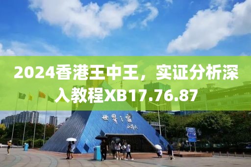 2024香港王中王，实证分析深入教程XB17.76.87