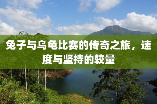 兔子与乌龟比赛的传奇之旅，速度与坚持的较量