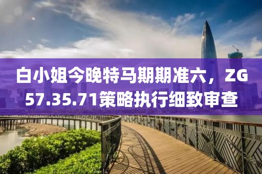 白小姐今晚特马期期准六，ZG57.35.71策略执行细致审查