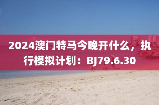 2024澳门特马今晚开什么，执行模拟计划：BJ79.6.30