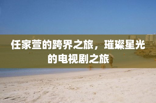 任家萱的跨界之旅，璀璨星光的电视剧之旅
