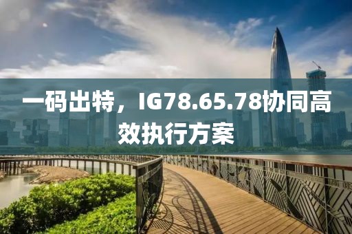 一码出特，IG78.65.78协同高效执行方案