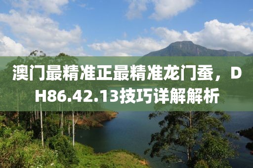 澳门最精准正最精准龙门蚕，DH86.42.13技巧详解解析