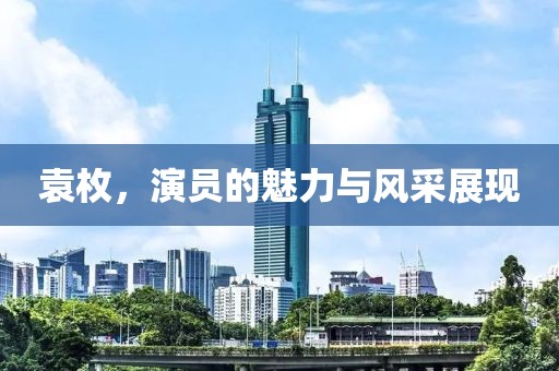 袁枚，演员的魅力与风采展现