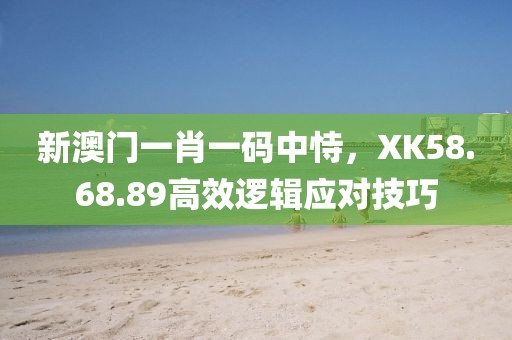 新澳门一肖一码中恃，XK58.68.89高效逻辑应对技巧