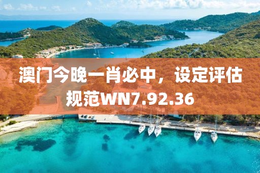 澳门今晚一肖必中，设定评估规范WN7.92.36
