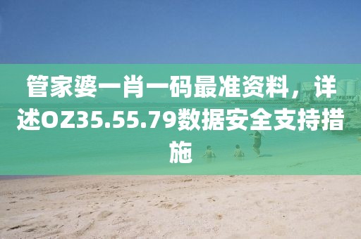管家婆一肖一码最准资料，详述OZ35.55.79数据安全支持措施