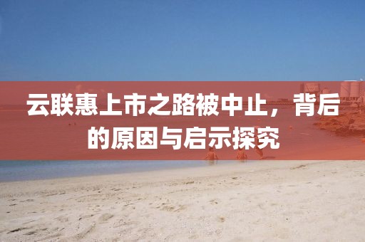云联惠上市之路被中止，背后的原因与启示探究