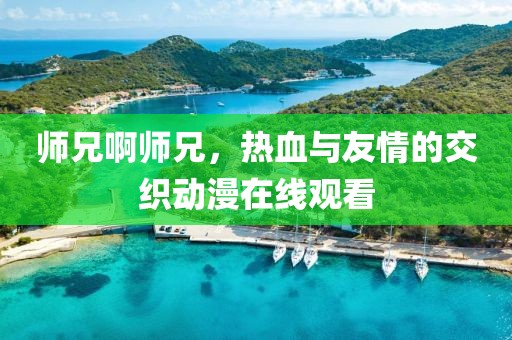 师兄啊师兄，热血与友情的交织动漫在线观看