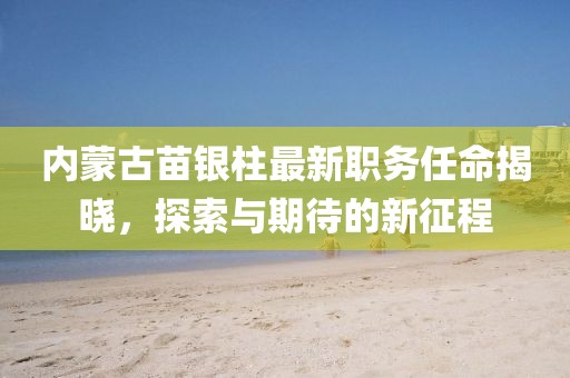 内蒙古苗银柱最新职务任命揭晓，探索与期待的新征程