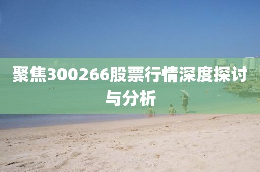 聚焦300266股票行情深度探讨与分析