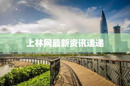 2025年3月 第2页