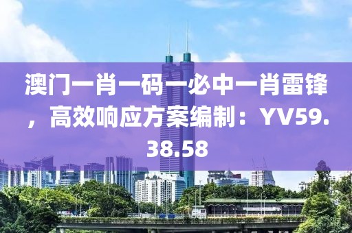 澳门一肖一码一必中一肖雷锋，高效响应方案编制：YV59.38.58