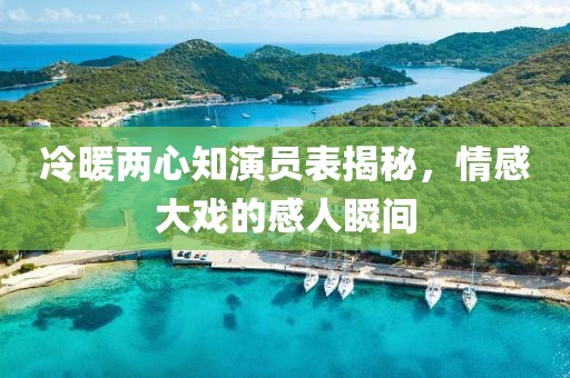 冷暖两心知演员表揭秘，情感大戏的感人瞬间