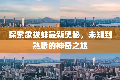 探索象拔蚌最新奥秘，未知到熟悉的神奇之旅