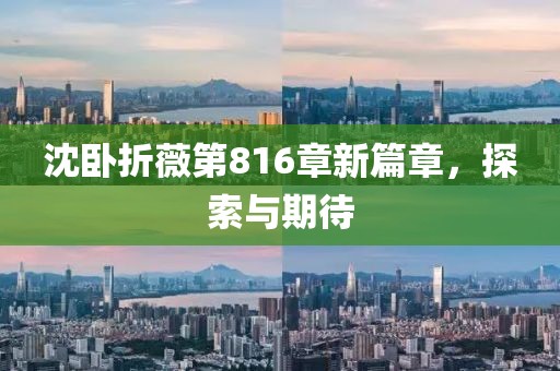 沈卧折薇第816章新篇章，探索与期待