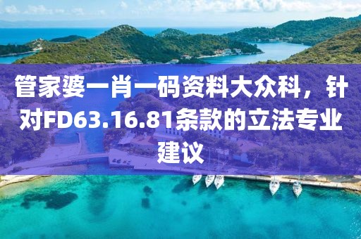管家婆一肖一码资料大众科，针对FD63.16.81条款的立法专业建议