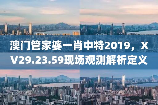 澳门管家婆一肖中特2019，XV29.23.59现场观测解析定义