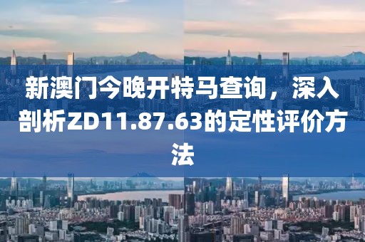 新澳门今晚开特马查询，深入剖析ZD11.87.63的定性评价方法