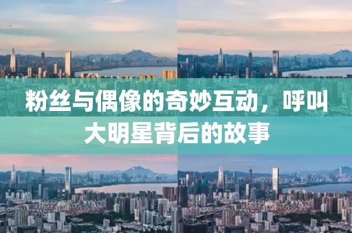 粉丝与偶像的奇妙互动，呼叫大明星背后的故事