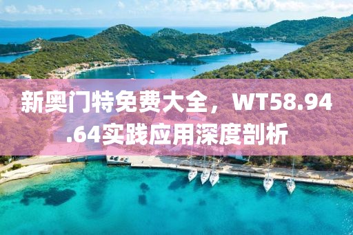 新奥门特免费大全，WT58.94.64实践应用深度剖析