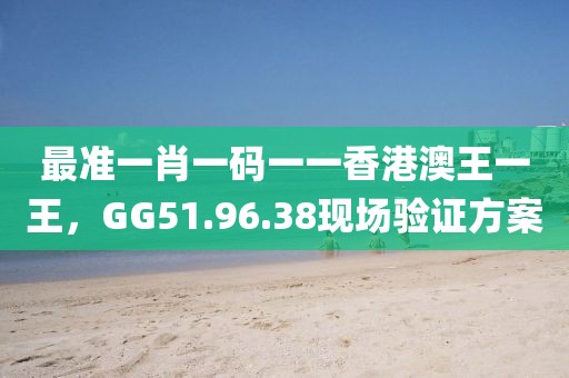 最准一肖一码一一香港澳王一王，GG51.96.38现场验证方案
