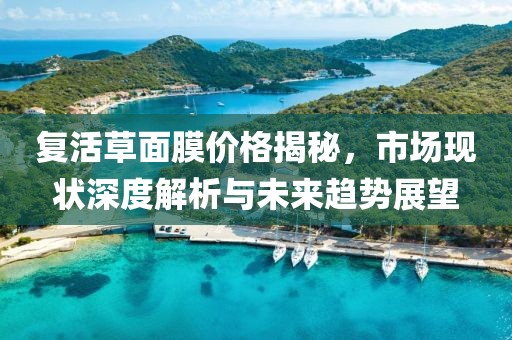 复活草面膜价格揭秘，市场现状深度解析与未来趋势展望