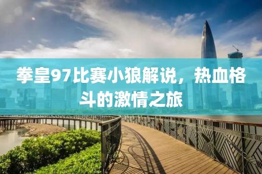 拳皇97比赛小狼解说，热血格斗的激情之旅