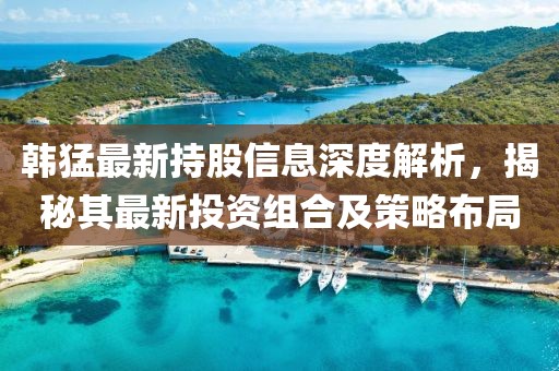 韩猛最新持股信息深度解析，揭秘其最新投资组合及策略布局
