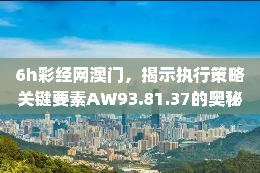 6h彩经网澳门，揭示执行策略关键要素AW93.81.37的奥秘