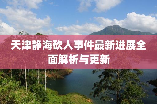 天津静海砍人事件最新进展全面解析与更新