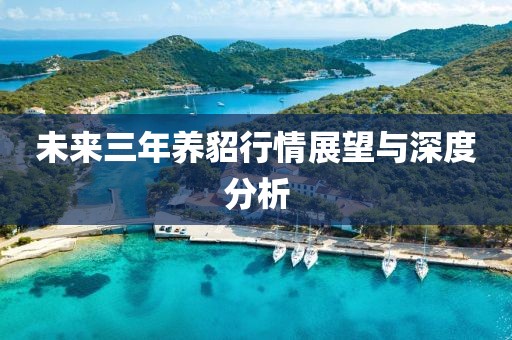 未来三年养貂行情展望与深度分析