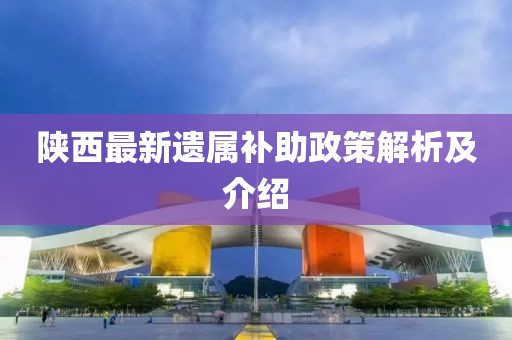 陕西最新遗属补助政策解析及介绍