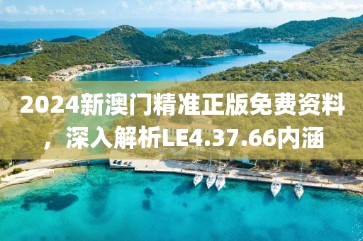 2024新澳门精准正版免费资料，深入解析LE4.37.66内涵
