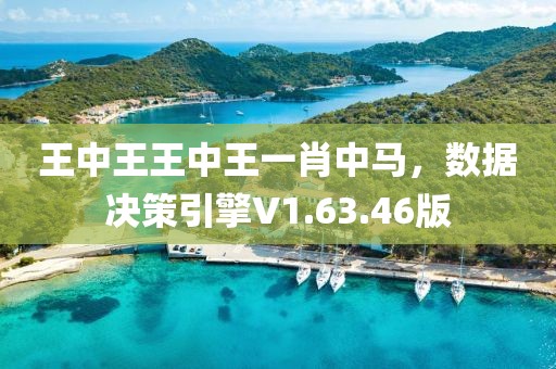 王中王王中王一肖中马，数据决策引擎V1.63.46版