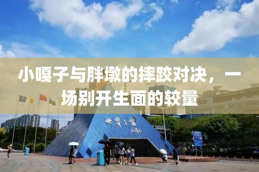 小嘎子与胖墩的摔跤对决，一场别开生面的较量