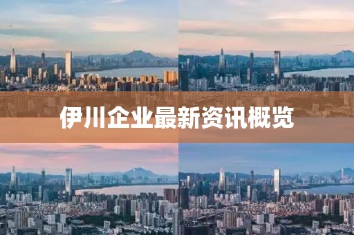 伊川企业最新资讯概览