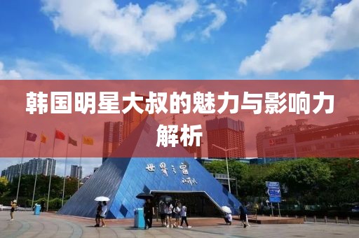 韩国明星大叔的魅力与影响力解析