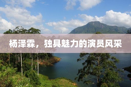 杨泽霖，独具魅力的演员风采