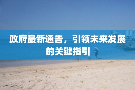 政府最新通告，引领未来发展的关键指引