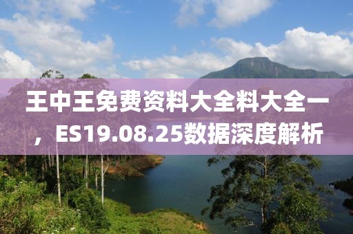 王中王免费资料大全料大全一，ES19.08.25数据深度解析