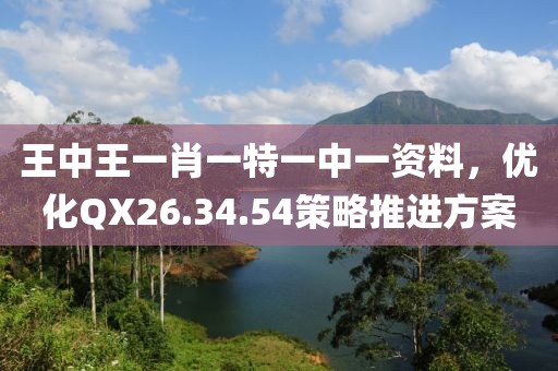 王中王一肖一特一中一资料，优化QX26.34.54策略推进方案
