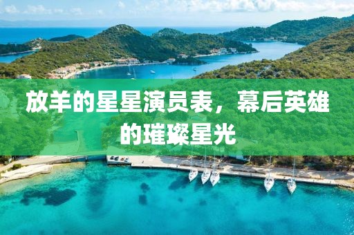 放羊的星星演员表，幕后英雄的璀璨星光