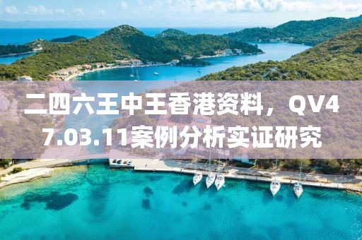 二四六王中王香港资料，QV47.03.11案例分析实证研究
