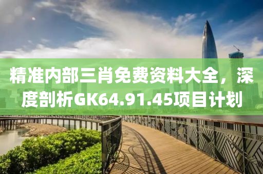 精准内部三肖免费资料大全，深度剖析GK64.91.45项目计划