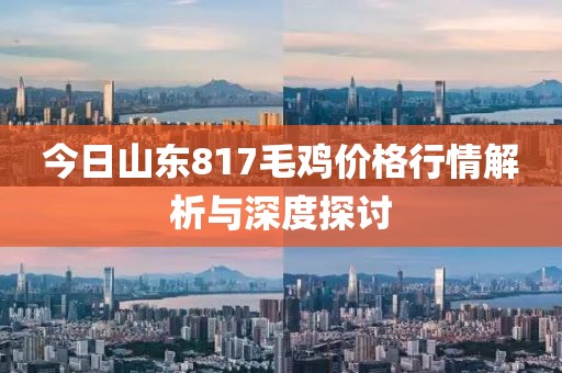 今日山东817毛鸡价格行情解析与深度探讨