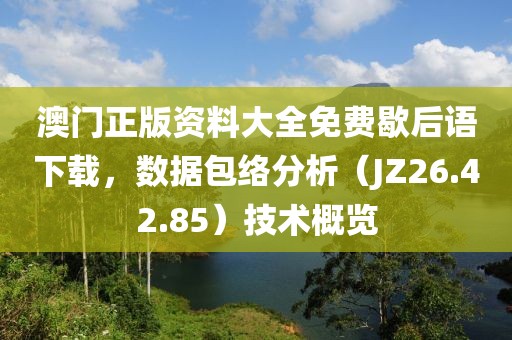 澳门正版资料大全免费歇后语下载，数据包络分析（JZ26.42.85）技术概览