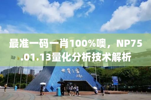 最准一码一肖100%噢，NP75.01.13量化分析技术解析