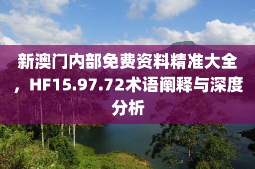 新澳门内部免费资料精准大全，HF15.97.72术语阐释与深度分析